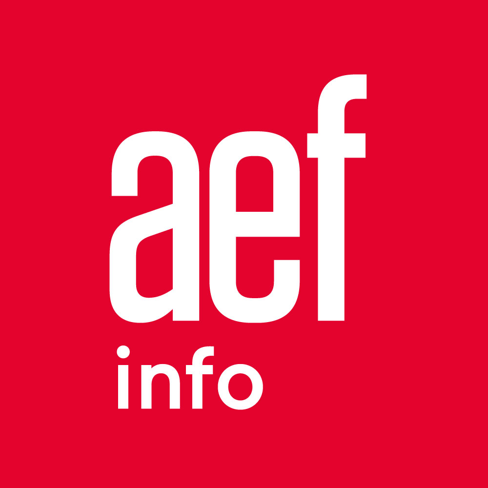 AEF Info « La France doit accueillir plus de talents étrangers dans ses formations d’excellence » (Vincenzo Vinzi, CDEFM) » Sarah Piovezan