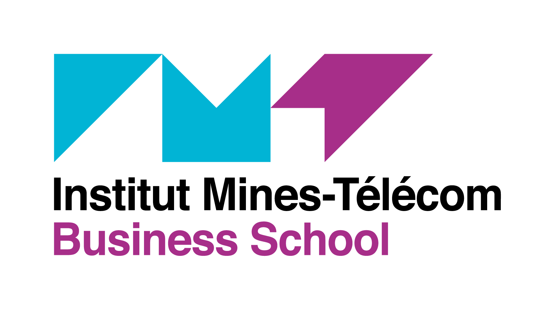 Logo Institut Mines-Télécom Business School